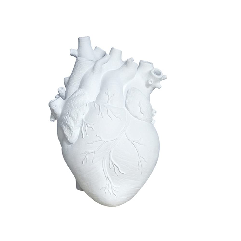 N / B Anatomical Heart Vase Creative Resin Flower Pot, Shape Countertop Desktop Ornament Home Shelf Table Décor Birthday Gift for Men Women White