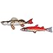 Petmate Jackson Galaxy Marinater Cat Toy Photo Fish, 2-Pack