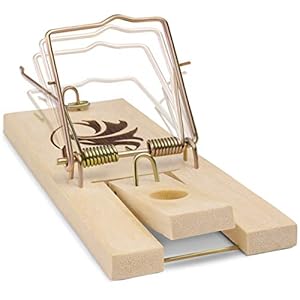 Mausefalle Schlagfalle [3er Set] mit optimierter Blitz-Todtechnik_FSC zertifizierte Holz Mäusefalle mit hoch sensiblem…