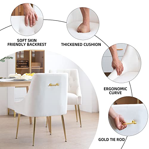 Lonxiu Modern Dining Chairs Set Of 2, Mid Century Dining Room Chair, Upholstered Dining Chair, Velvet Dining Chair With Back Pull Rod And Golden Legs For Kitchen, Living Room (Off White) #TOP2