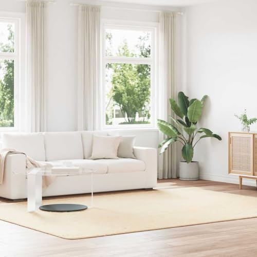 LLEZKBR Hogar y Jardín, Decoración, Alfombra, Alfombra de pelo largo NAVARRA Crema 240 x 340 cm Poliéster
