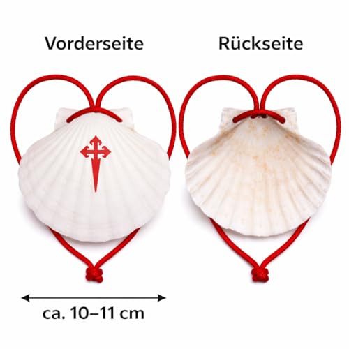 Pilgermuschel für den Jakobsweg – handgefertigt in Galizien, Spanien, echte Jakobsmuschel mit roter Kordel und rotem Kreuzaufdruck, ca. 10–11 cm, für Rucksack, Wanderstock oder als Pilgergeschenk