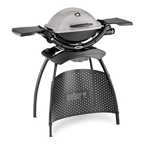 Weber Q1200 Gas Grill with Stand Cover