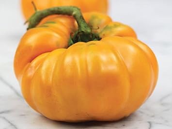 Dr. Wyche's Tomato Seeds