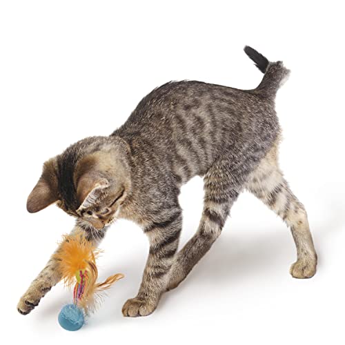 Petlinks Happynip Silly Singer Electronic Sound Cat Toy, Contains Silvervine & Catnip, Battery Powered - Multi Color, One Size #TOP2