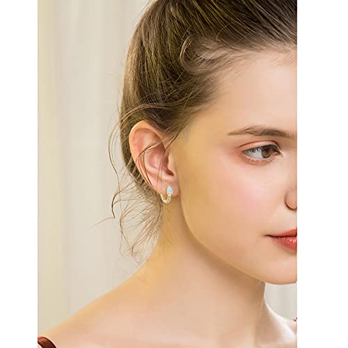 Lasidor Gold Small Hoop Earrings Opal Hinged Huggie Earrings Yellow Gold Plated Hypoallergenic Earrings For Women Girls Men #TOP1