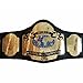 AA Tentaclus Nessa NWA Tag Team Championship Belt - NWA World Tag Team Heavyweight Wrestling Replica Title Championship Belt 2mm
