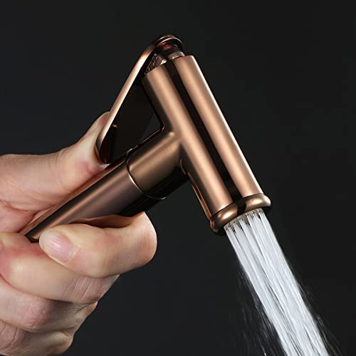 Tête de pulvérisation WC en acier inoxydable pour hygiène intime et entretien - 4