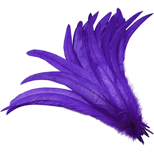 Cock Tail Feather Luorng 30Pcs 25-30Cm / 10-12Inch Purple Chicken Feathers Rooster Tail Feathers For Clothing Decoration Stage Performance, Rooster Feather #TOP2