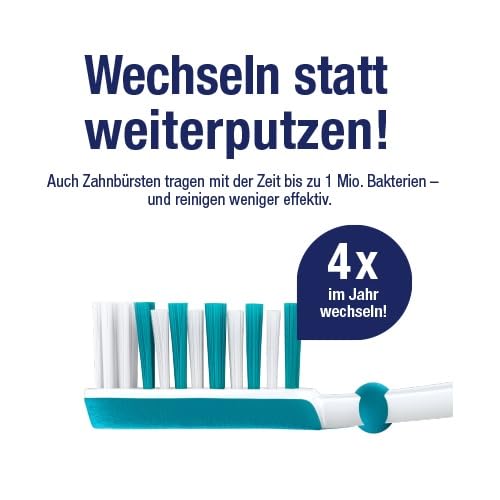 Dr.BEST Spazzolino da denti Polimed Medio