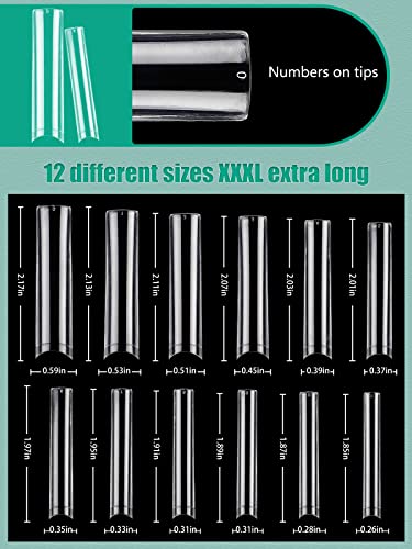 LIONVISON 504 PCS No C Curve Clear Nail Tips for Acrylic Nails Professional, 3XL Extra Long, 12 Sizes Half Cover Straight Tapered Square French Fake Nail Tips for Nail Salons Home DIY