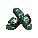 FOCO Arkansas Razorbacks NCAA Mens Colorblock Big Logo Gel Slides - L