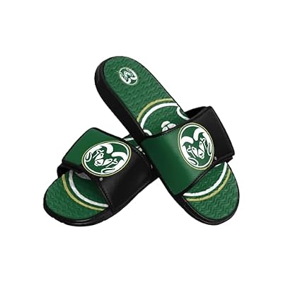 FOCO Florida State Seminoles NCAA Mens Colorblock Big Logo Gel Slide - M
