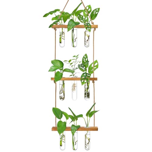 XXXFLOWER Reagenzgläser für Blumen,Kleine Vasen Set mit Ständer für Pflanzen,3X3 Propagation Station,Ableger Pflanzen Glas für Hydrokulturpflanzen Stecklinge Pflanzenterrarium,Zimmerpflanzen Zubehör