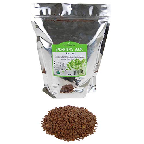 Organic Red Lentil Sprouting Seeds Handy Pantry