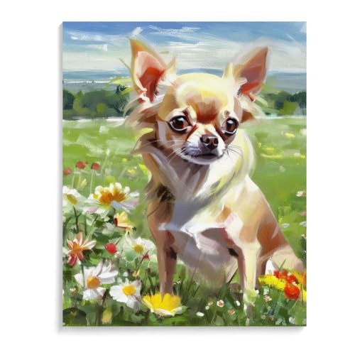 Paint by Numbers Chihuahua Dog DIY Acrylic Painting Kit with Brushes Pigment Oil Painting Artwork Adults Beginners Wall Decor 12x16inch(30x40cm) Frameless