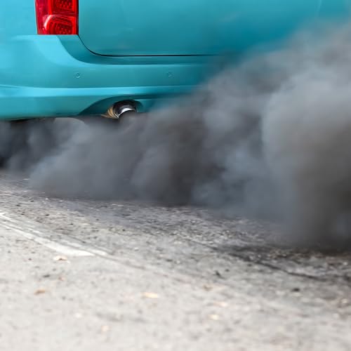 ERRECOM DPF Rinse, Spülflüssigkeit nach Reinigung für Partikelfilter (FAP) und Katalysator, 5 L Behälter