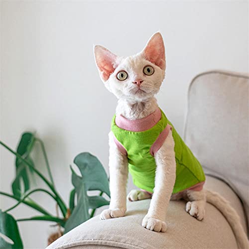 ZHIHAN Vestiti per Gatti Sfinge Gilet per Gatti