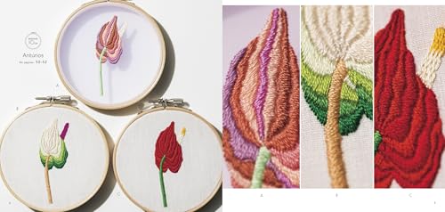 Bordar com cores: 27 projetos para trabalhar com bastidor