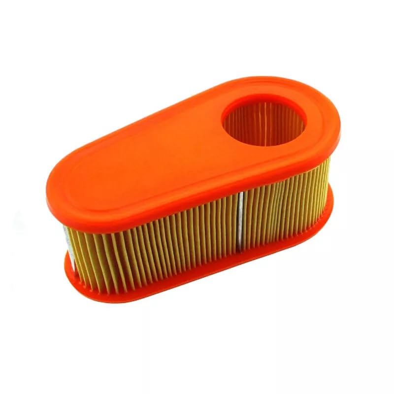 Filtre à air Briggs & Stratton 795066 111P02 112P05 pièce tondeuse