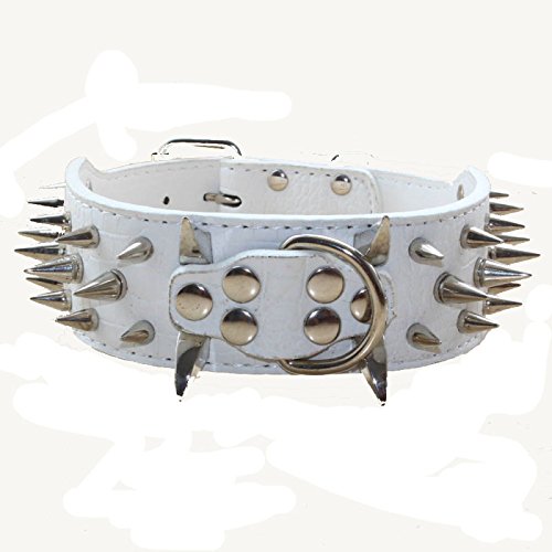 haoyueer Collar de perro con tachuelas afiladas de 5 cm de ancho, elegantes collares de cuero para perros medianos y grandes, Pitbull, labrador, Boxer Rottweiler, pastor alemán... (M, blanco)