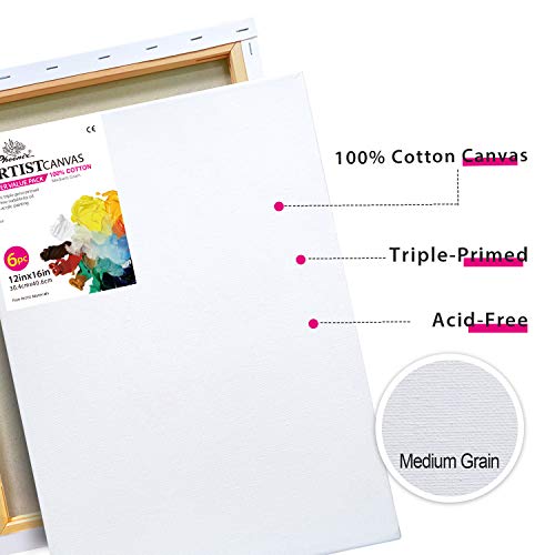 Phoenix Stretched Canvas For Painting 12X16 Inch/6 Value Pack, 8 Oz Triple Primed 5/8 Inch Profile 100% Cotton White Blank Canvas, Artist Framed Canvas For Oil Acrylic & Pouring Art #TOP2