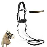 Hofleben ® - Hochwertige Spielpferd/Hobby Horse Zubehör Trense mit 2 Stirnbändern (Silber + Gold) - Trense mit Zügel für Spielpferde - Hobby Horse Halfter - Größe: Mini Shetland