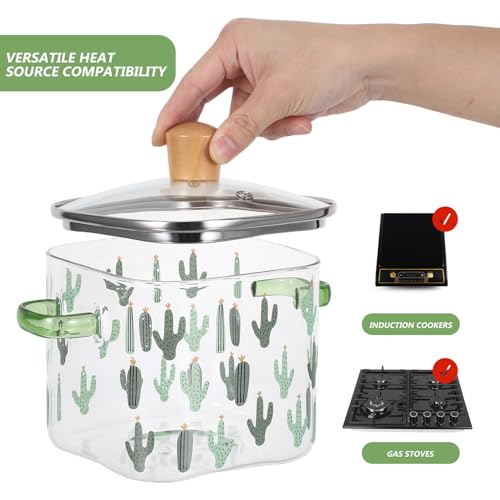 Marmite en verre transparent 2.5L pour la cuisson des pâtes