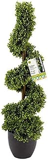 garden mile Artificial Topiary Twirl Obelisk Tree, Stylish Plant, Faux Twirled Shrubbery for your Garden, Outdoors, Patio, Lounge or Conservatory (Boxwood Topiary Twirl)