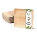 BIOZOYG Palmware Hochwertiges Palmblattgeschirr I 50 Stück Palmblatt Teller rechteckig 25 x 25 cm I Bio Einweggeschirr biologisch abbaubar Partygeschirr Einmalgeschirr Wegwerfgeschirr