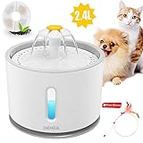 Fontaine à Eau Pour Chat 2020 Comparatif Meilleurs Modèles