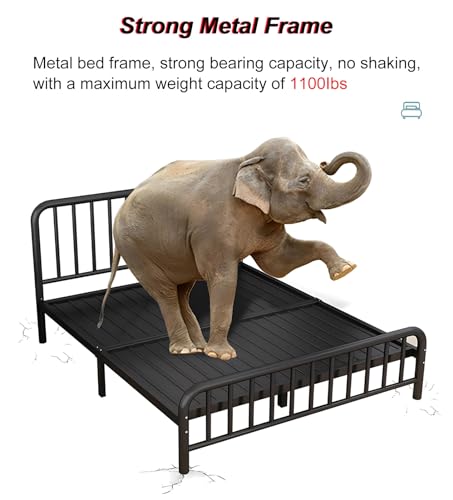 Estrutura De Cama Queen Moderna, Estrutura De Cama Dupla Com Pernas De Apoio, Estrutura De Cama Anti