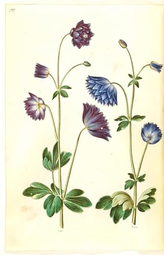 Pinturas famosas de lienzo decorativas para el dormitorio de 60x90cm