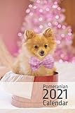  Pomeranian 2021 Calendar: Monthly and Weekly Book Planner. Funny Christmas and New Year Gift for Dog and Puppy Lovers. (2021 Book Calendars)