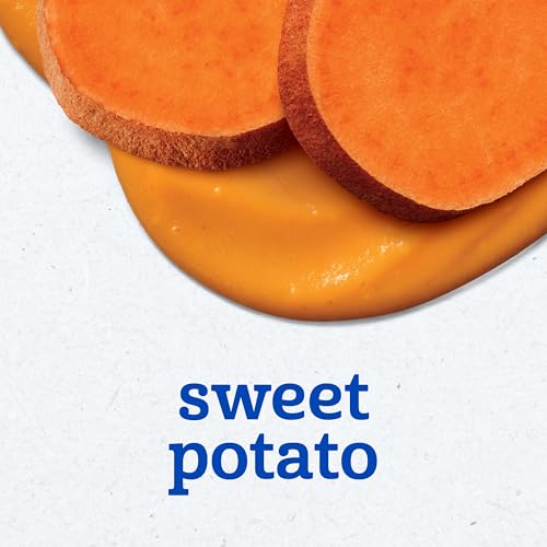 Gerber Stage 1 Baby Food, Sweet Potato Puree Tub, No Artificial Colors or Flavors, Baby Puree, 16-Pack