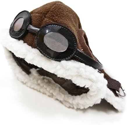 Amazon.com : DOG Aviator Hat with 