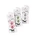 Produktbild Scheurich 50183-INDOOR Orchideenclip, 17,5 x 6 x 1 cm, grün transparent