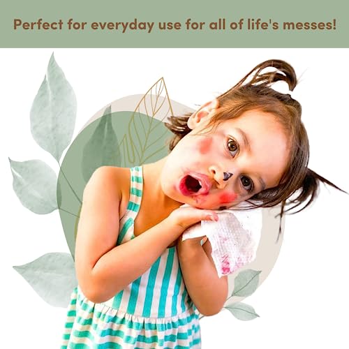Image of Terra Bamboo Baby Wipes: Kiwifruit Extract, 99.5% Pure New Zealand Water, 100% Biodegradable Bamboo Fiber, 0% Plastic, Unscented Baby Wipes for Sensitive Skin, 12 Pack of 70 Wipes