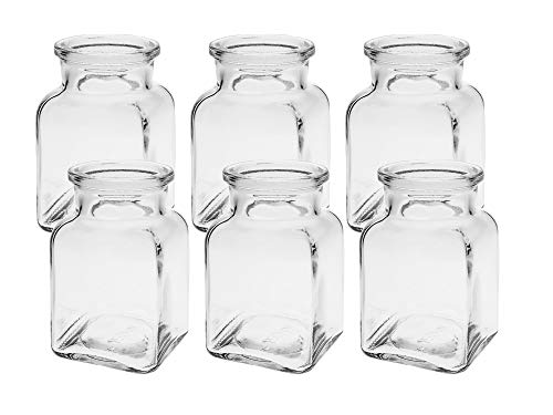6 Stück Quadratisch Mini Vasen Glasfläschchen kleine Dekoflaschen Flasche Väschen Vase Glasflaschen Blumenvase (6 Stück) Cover
