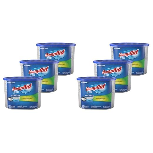DampRid Disposable Moisture Absorber Pack