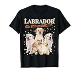 labrador croisé golden retriever a vendre Léger, Coupe classique, manche à double couture et ourlet à la base