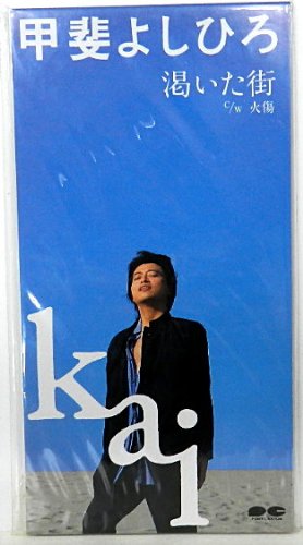 渇いた街 甲斐よしひろ カラオケ 歌詞検索 Joysound Com 渇いた街 甲斐よしひろ カラオケ 歌詞検索 Joysound Com
