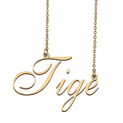 HUAN XUN Customized Charm Pendant Jewelry Any Name Necklace for Grandmother Tige