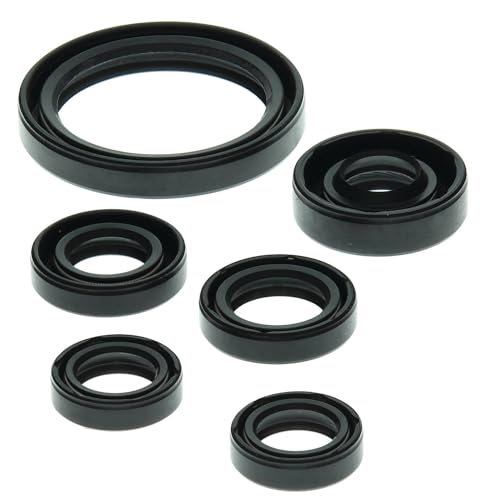 Winderosa 822238 Huile Moteur Seal Kit pour stopper les fuites de liquide