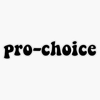 Pro-Choice Vinyl Sticker Waterproof Bumper Sticker Laptop Window Decal 5', (LEU3-SM-STICKERS-6664)