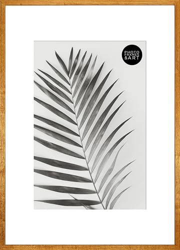 pf+a Winchester a2 frame with a3 mount - Perspex Window - Wooden Photo Frame / A2 For A3 With Mount Poster Frame