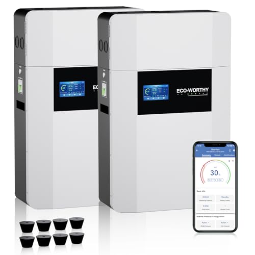 ECO-WORTHY - Batteria LiFePO4 da 48V 100Ah*2 per montaggio a