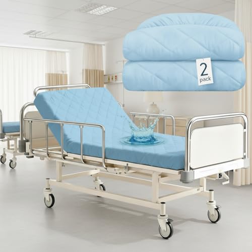 Lounsweer 2 Pcs Bed Mattress Protector Waterproof, 84 x 36 x 12in, Blue