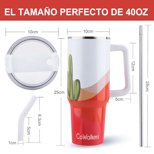La Mejor review de Termo aristón favoritos de las personas. 6 Imagen adicional