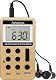 Retekess V112 Mini Taschenradio – Tragbares Batteriegerät für FM und AM